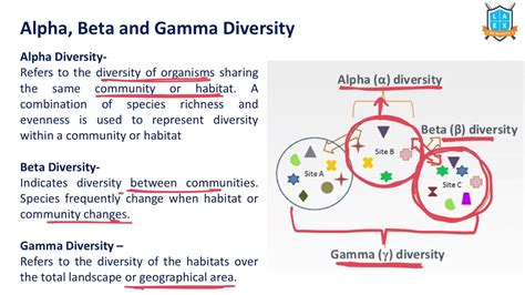 alpha versus beta diversity,alpha beta gamma diversity